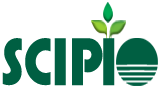SCIPIO TAX